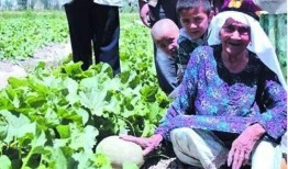 木心吃瓜园,一场穿越时空的味蕾之旅