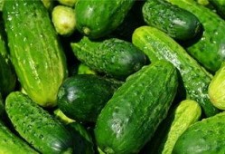 梦见吃啥密瓜,揭秘梦中密瓜的神秘寓意