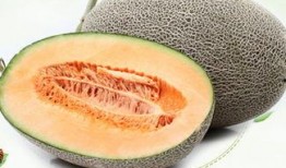来大姨妈吃哈密瓜,哈密瓜助你缓解不适，甜蜜呵护女性健康”