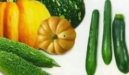 来来来 吃瓜吃瓜,一起吃瓜吃瓜，揭秘娱乐圈新鲜事