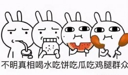 吃瓜合集骗人,揭秘吃瓜合集背后的骗人生涯