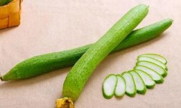 瓜状怎么吃,解锁独特吃法，尽享美味新体验