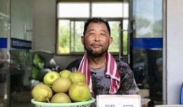 夏风吃瓜,夏日消暑新风尚