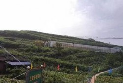 南昌白塔岭吃瓜事件,一场网络热议的社区冲突纪实