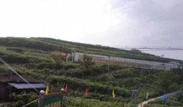 南昌白塔岭吃瓜事件,一场网络热议的社区冲突纪实