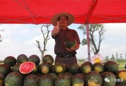 雪圈吃瓜版,揭秘娱乐圈背后的那些事儿