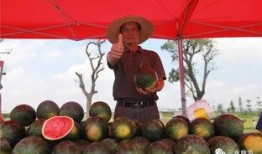 雪圈吃瓜版,揭秘娱乐圈背后的那些事儿