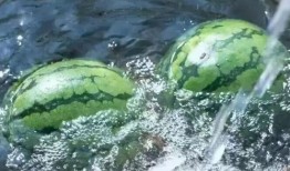 云南丽江吃瓜,探寻云南美食之旅