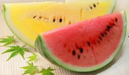 红色可以吃的瓜,探寻可食用瓜果的奇妙之旅