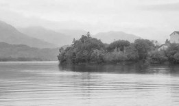 湖心亭吃瓜,揭秘网红打卡地的幕后故事