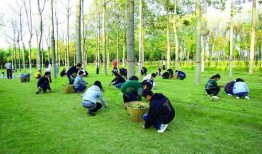 升达经贸长椅吃瓜,见证校园吃瓜文化的独特风景