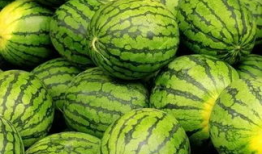 参吃马上吃瓜孑,网络热词背后的趣味与内涵