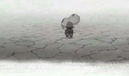 外人只是吃瓜,揭秘“吃瓜群众”背后的真相与趣味