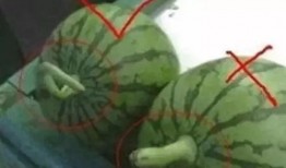 做个真正的吃瓜,如何做个真正的吃瓜达人