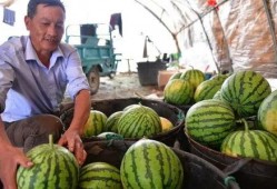 安徽合肥最新吃瓜,揭秘幕后真相，网友热议不断