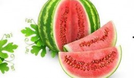 星星也吃瓜,揭秘星星们的“吃瓜”日常