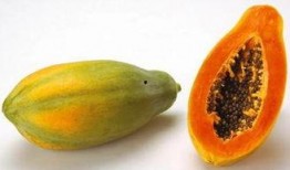 反胃吃瓜视频
