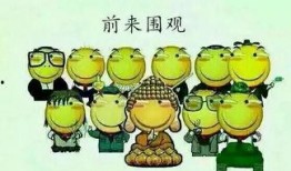 吃瓜群众411,一场全民参与的娱乐盛宴