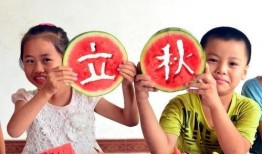 立秋吃瓜图片动态,瓜果飘香，共赏丰收盛宴