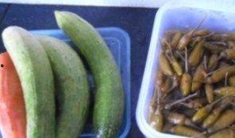 吃泡泡的瓜,甜蜜诱惑，尽享美味时光