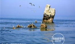 庄河吃瓜黑岛新闻,揭秘吃瓜群众的夏日新闻焦点