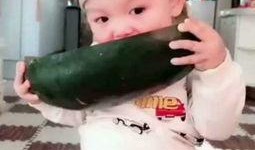 吃瓜的宝宝2,揭秘娱乐圈背后的秘密风暴