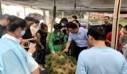 安徽职教园吃瓜,揭秘校园里的“吃瓜”趣事