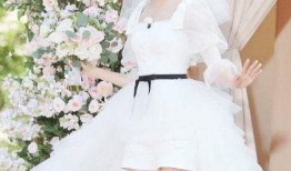 白婚纱吃瓜,揭秘娱乐圈的甜蜜与苦涩