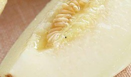 东方甄选陕西专场吃瓜,吃瓜群众解锁地道美食之旅