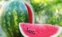 为什么吃瓜容易憋气,生理机制与趣味探讨