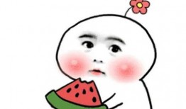 我在吃瓜日语,揭秘日本流行语背后的趣味与智慧