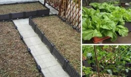 梦见在楼顶吃瓜,揭秘梦境中的悠闲时光