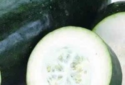 汕尾同城吃瓜,揭秘本地热门话题与趣闻轶事