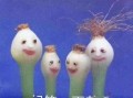 吃瓜群众头像狗头,揭秘网络红人的搞笑瞬间