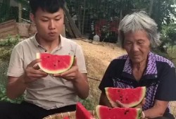 孙子和奶奶吃瓜,孙子与奶奶的甜蜜瓜趣时光
