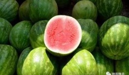 魏县的吃瓜视频