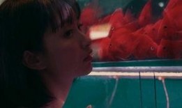 吃瓜少女上岸,从围观者到上岸者的心路历程