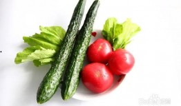 小说吃瓜摆烂夏天,夏天里的悠闲时光