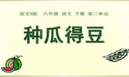 吃瓜都做ppt,轻松掌握信息传播的艺术