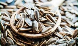 吃什么瓜吃瓜子,从吃瓜到吃瓜子的奇妙之旅