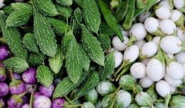 富贵吃瓜,揭秘娱乐圈的甜蜜与苦涩