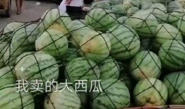 到处吃瓜的视频,吃瓜群众围观“到处吃瓜”视频，揭秘幕后故事