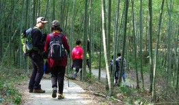 山野户外吃瓜,吃瓜乐趣无限