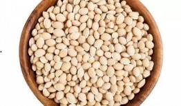 每日吃瓜得豆,揭秘吃瓜得豆的奇妙之旅