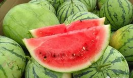 蓝阳吃瓜,揭秘娱乐圈幕后故事