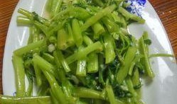 gua吃瓜头像,gua吃瓜头像，潮流与趣味并存