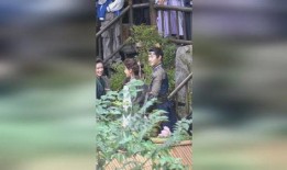 宫远徵吃瓜,揭秘娱乐圈背后的秘密与八卦