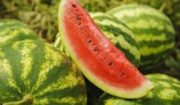 吃瓜群吃内脏,揭秘“吃瓜群”背后的内脏文化现象