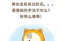 吃瓜群众 一 千须,一千吃瓜群众眼中的娱乐圈风云