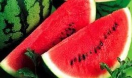 做个真正的吃瓜,如何做个真正的吃瓜达人